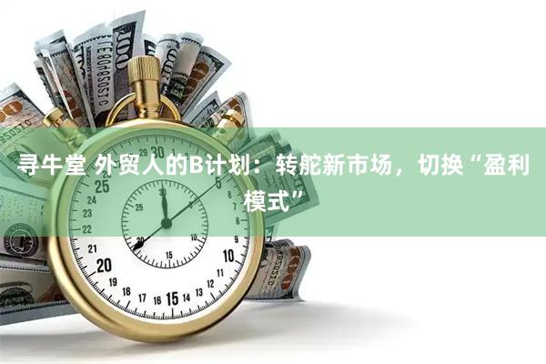 寻牛堂 外贸人的B计划：转舵新市场，切换“盈利模式”