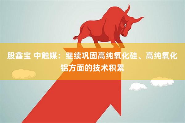 股鑫宝 中触媒：继续巩固高纯氧化硅、高纯氧化铝方面的技术积累