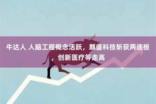 牛达人 人脑工程概念活跃，麒盛科技斩获两连板，创新医疗等走高