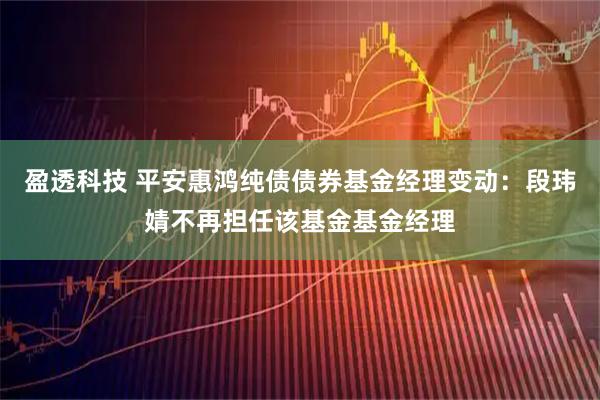 盈透科技 平安惠鸿纯债债券基金经理变动：段玮婧不再担任该基金基金经理