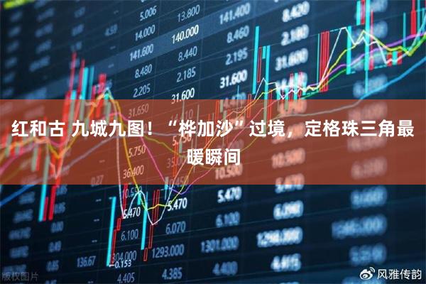 红和古 九城九图！“桦加沙”过境，定格珠三角最暖瞬间
