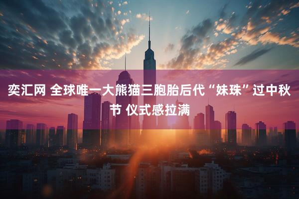 奕汇网 全球唯一大熊猫三胞胎后代“妹珠”过中秋节 仪式感拉满