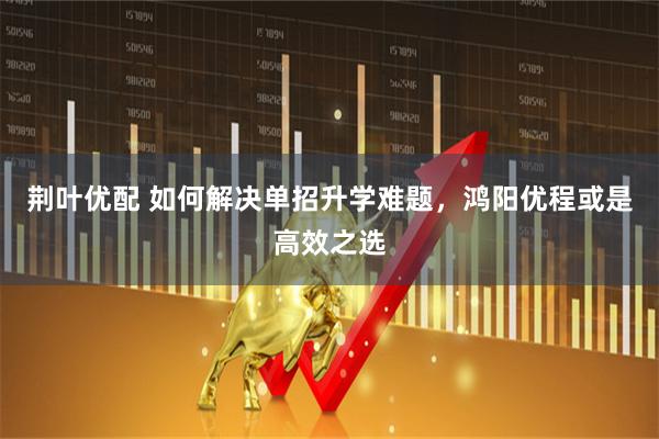 荆叶优配 如何解决单招升学难题，鸿阳优程或是高效之选