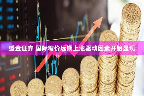 盛金证券 国际糖价远期上涨驱动因素开始显现