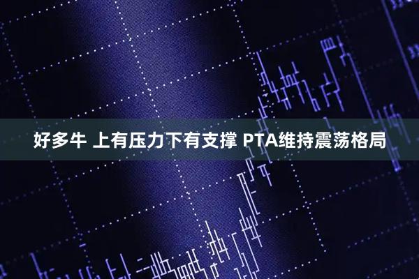 好多牛 上有压力下有支撑 PTA维持震荡格局