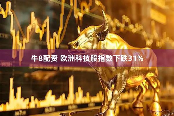 牛8配资 欧洲科技股指数下跌31%